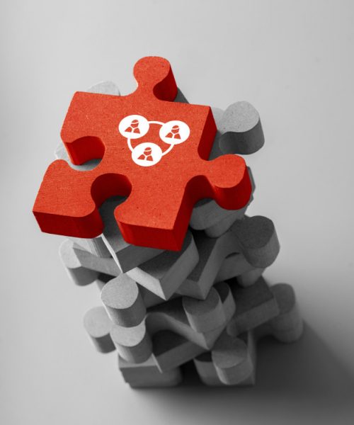 business-hr-icon-colorful-puzzle_117856-1927